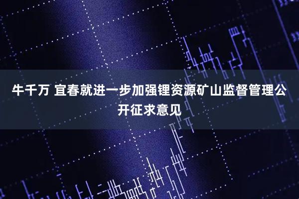 牛千万 宜春就进一步加强锂资源矿山监督管理公开征求意见