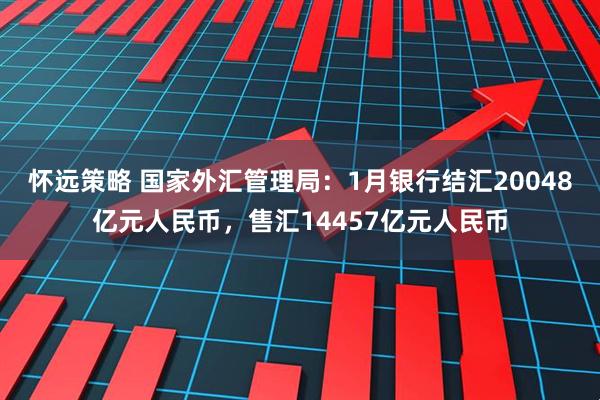 怀远策略 国家外汇管理局：1月银行结汇20048亿元人民币，售汇14457亿元人民币
