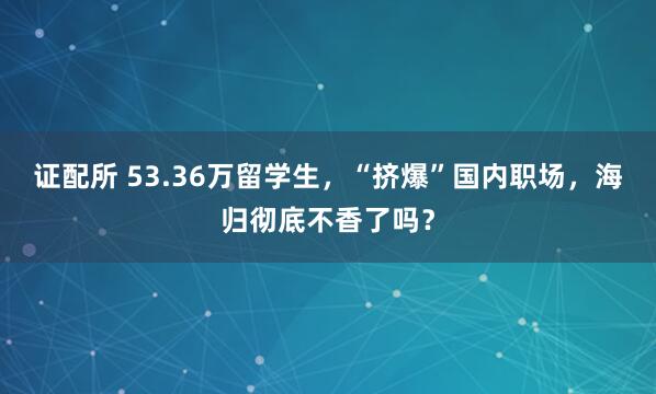 证配所 53.36万留学生，“挤爆”国内职场，海归彻底不香了吗？