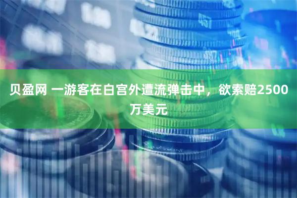贝盈网 一游客在白宫外遭流弹击中，欲索赔2500万美元